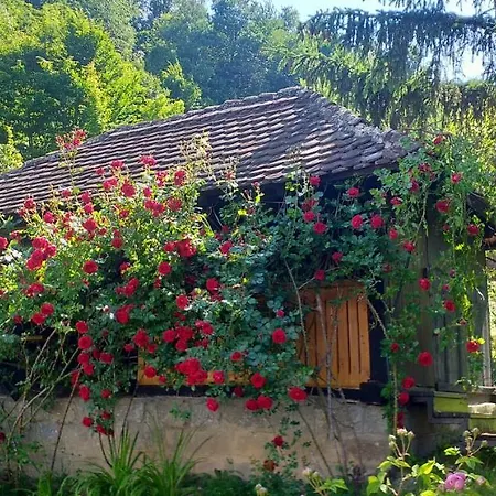 Majdanski Kutak Apartment Gornji Milanovac