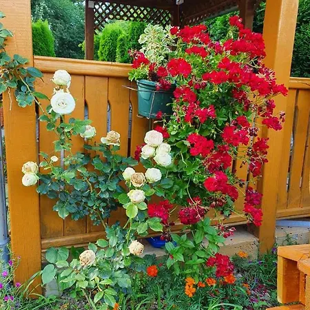 Majdanski Kutak Apartment *