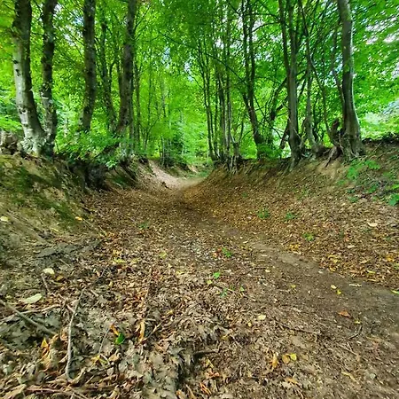 Majdanski Kutak Gornji Milanovac