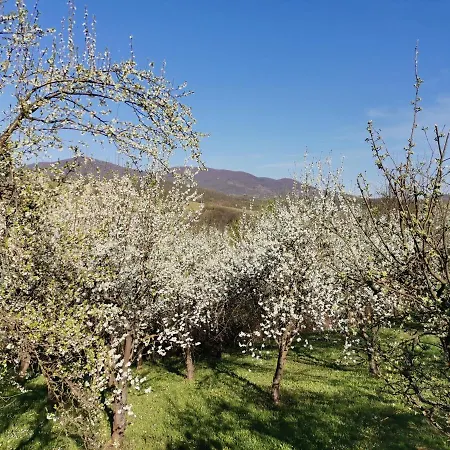 Majdanski Kutak Apartment