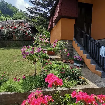 Majdanski Kutak Apartment *