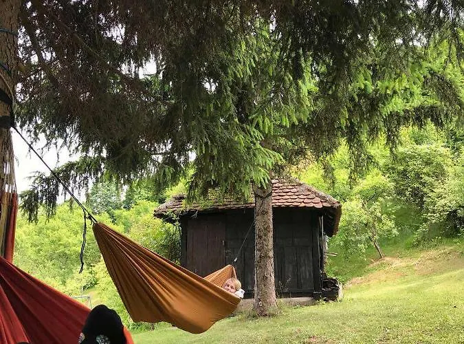 Majdanski Kutak Daire