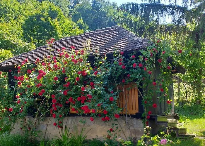 Majdanski Kutak Daire Gornji Milanovac