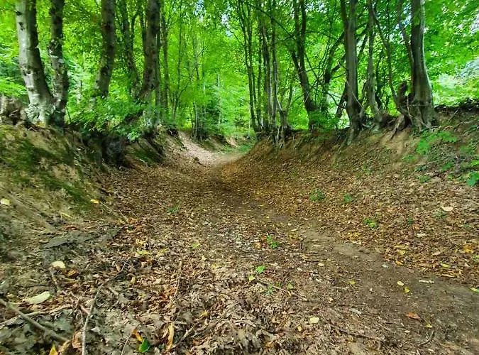 Majdanski Kutak Gornji Milanovac