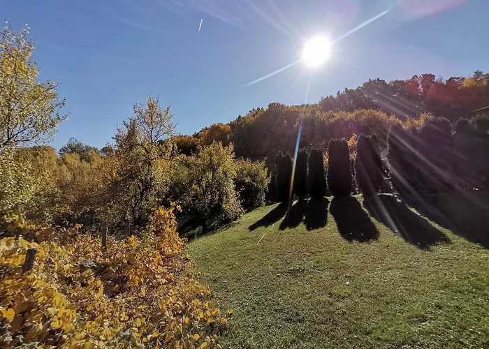 Majdanski Kutak Daire *