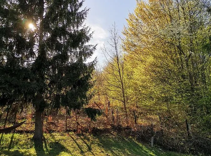 Majdanski Kutak Daire