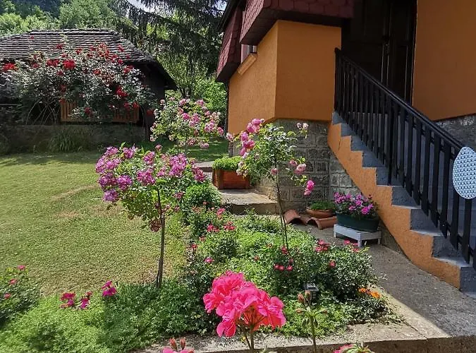 Majdanski Kutak Daire *